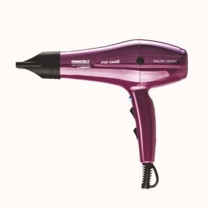 سشوار پرنسلی مدل PRINCELY PR250AT